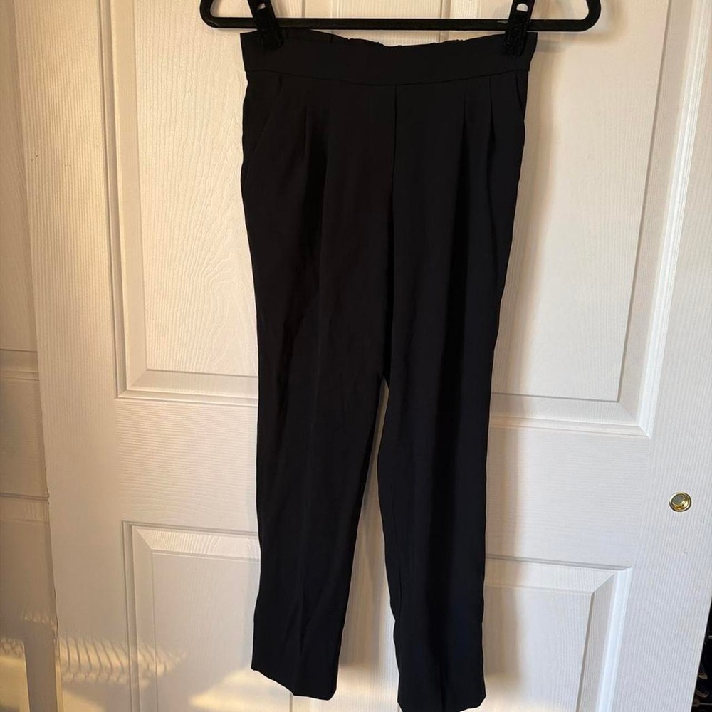 Babaton Aritzia dress pants cropped